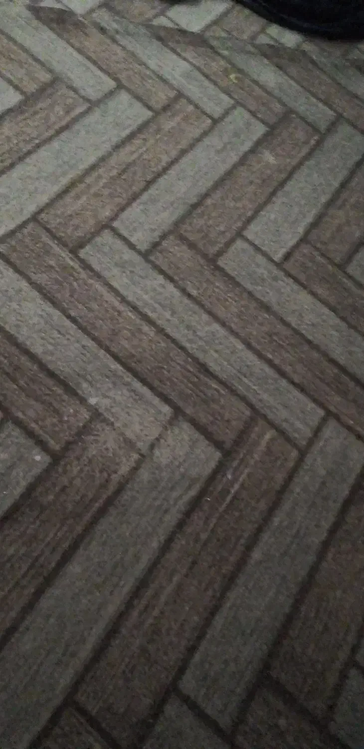 موکت|موکت|گتوند, |دیوار