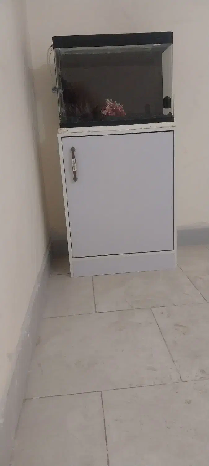 آکواریم با پایه و لوازم|ماهی|فردیس, شهرک ارم|دیوار