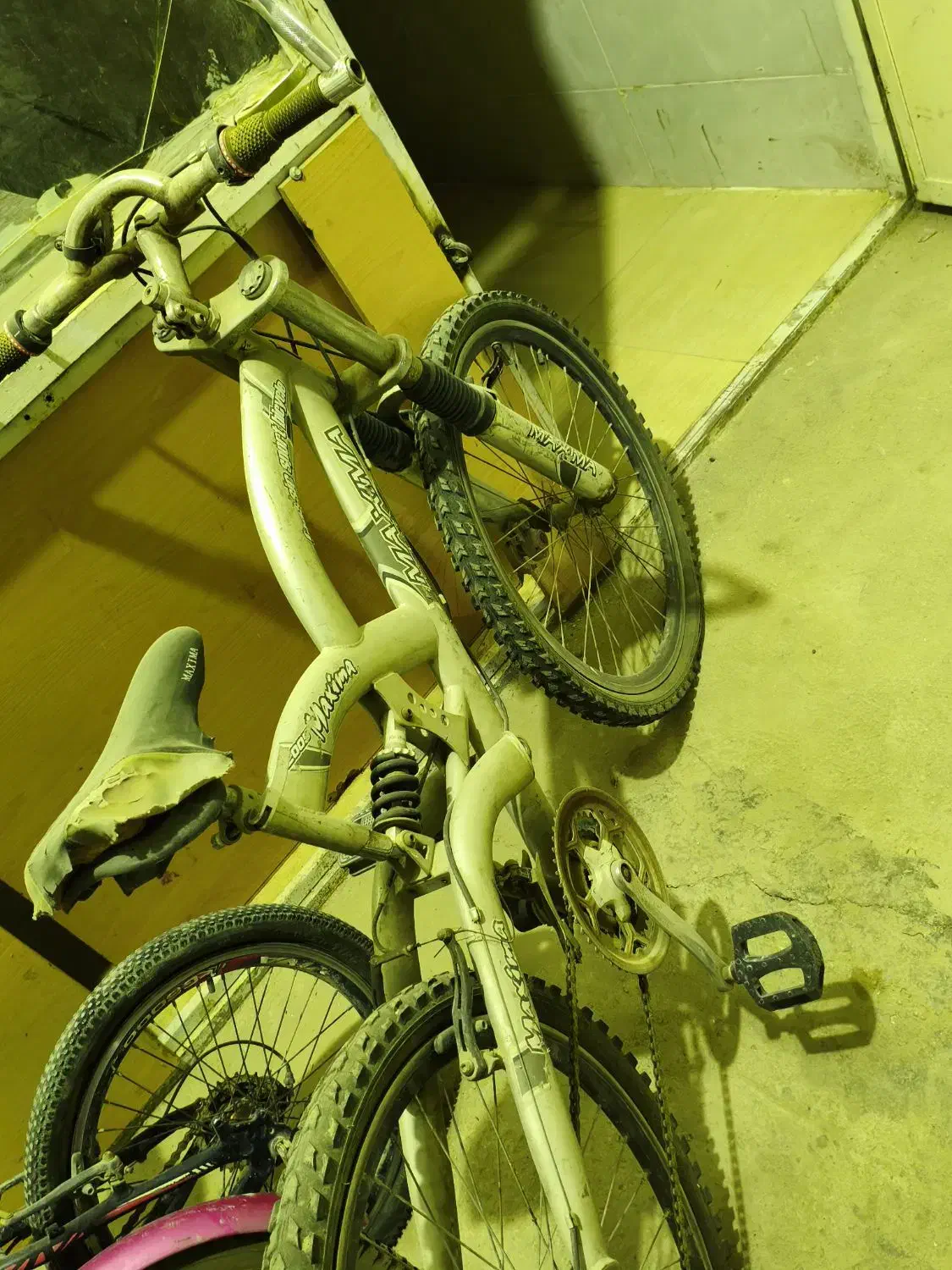 دوچرخه ویوا حرفه‌ای|دوچرخه، اسکیت، اسکوتر|خورموج, |دیوار