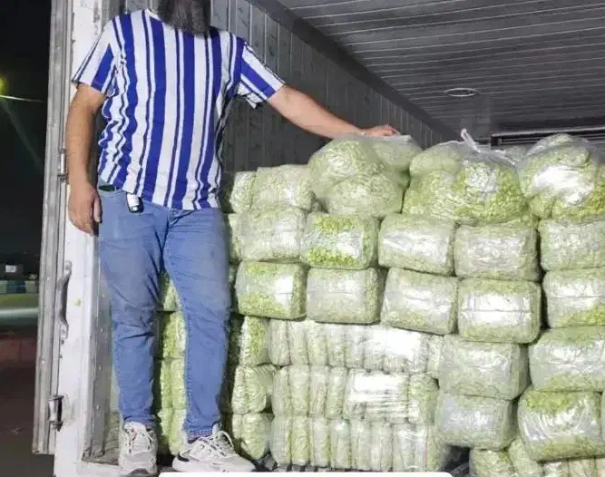 باقالی منجمد ونخود سبز پاک شده|خوردنی و آشامیدنی|نسیم‌شهر, |دیوار