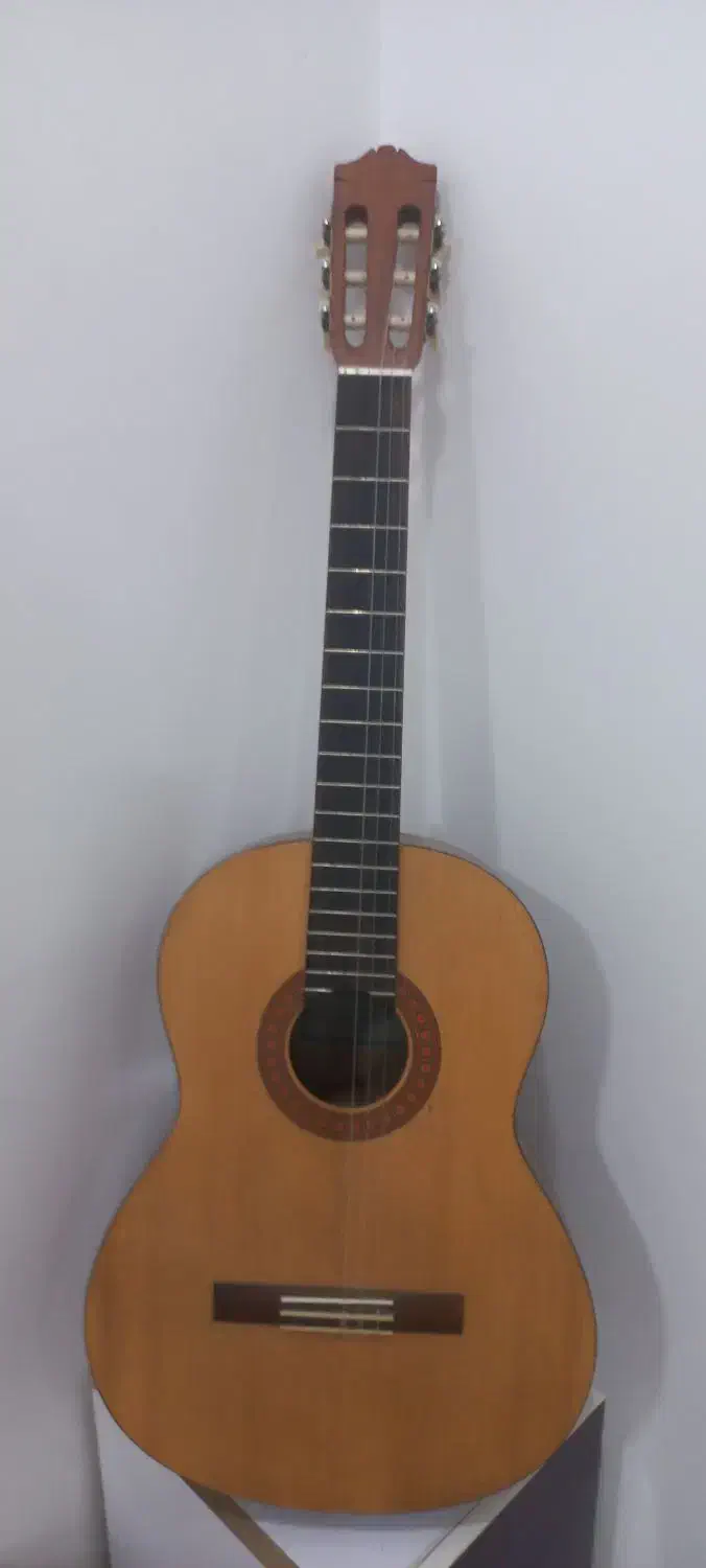 گیتار تمیز بدون هیچ ایراد|گیتار، بیس، امپلیفایر|شوش, |دیوار