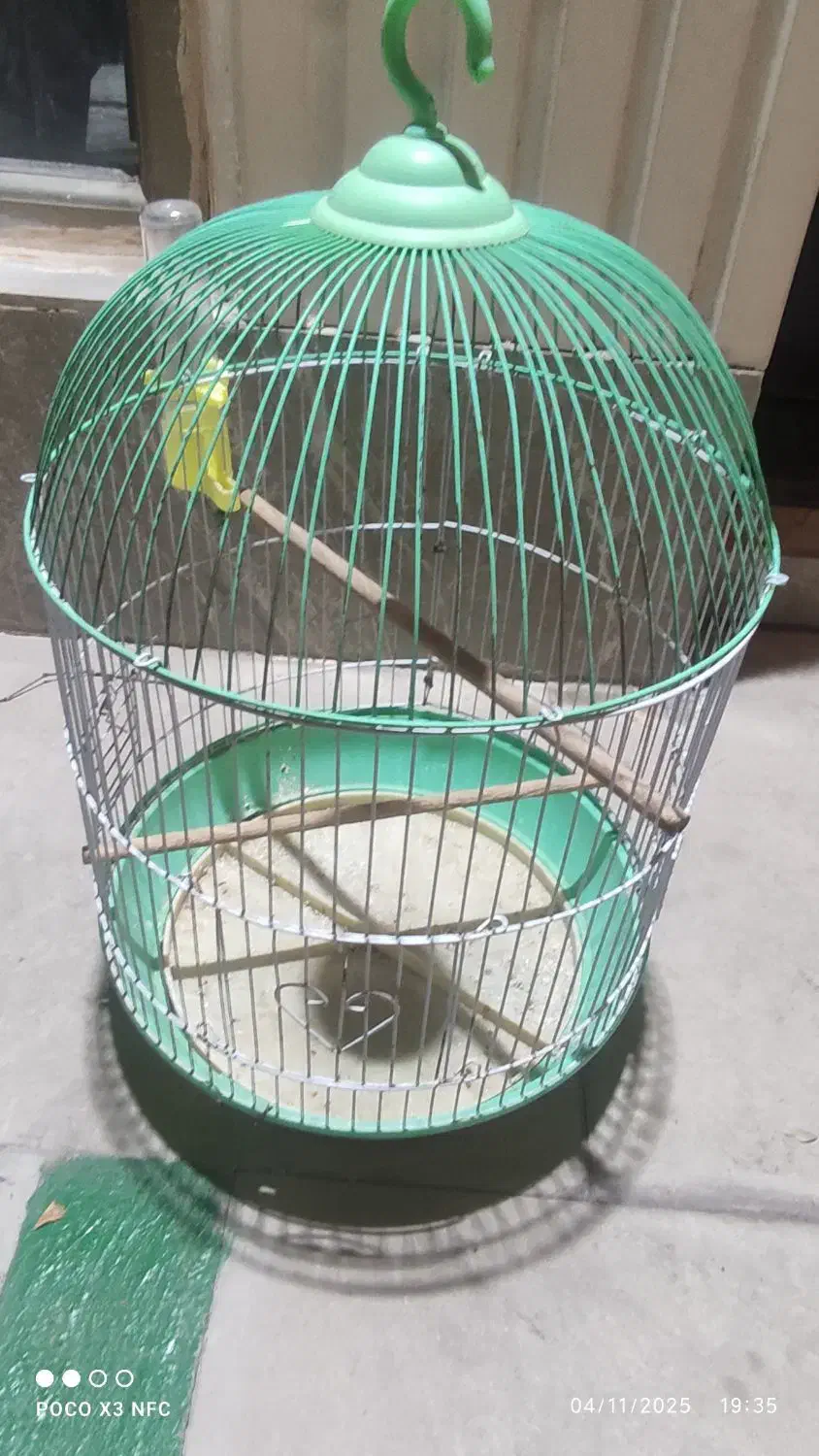 قفس پرنده|لوازم جانبی حیوانات|فولادشهر, B2|دیوار