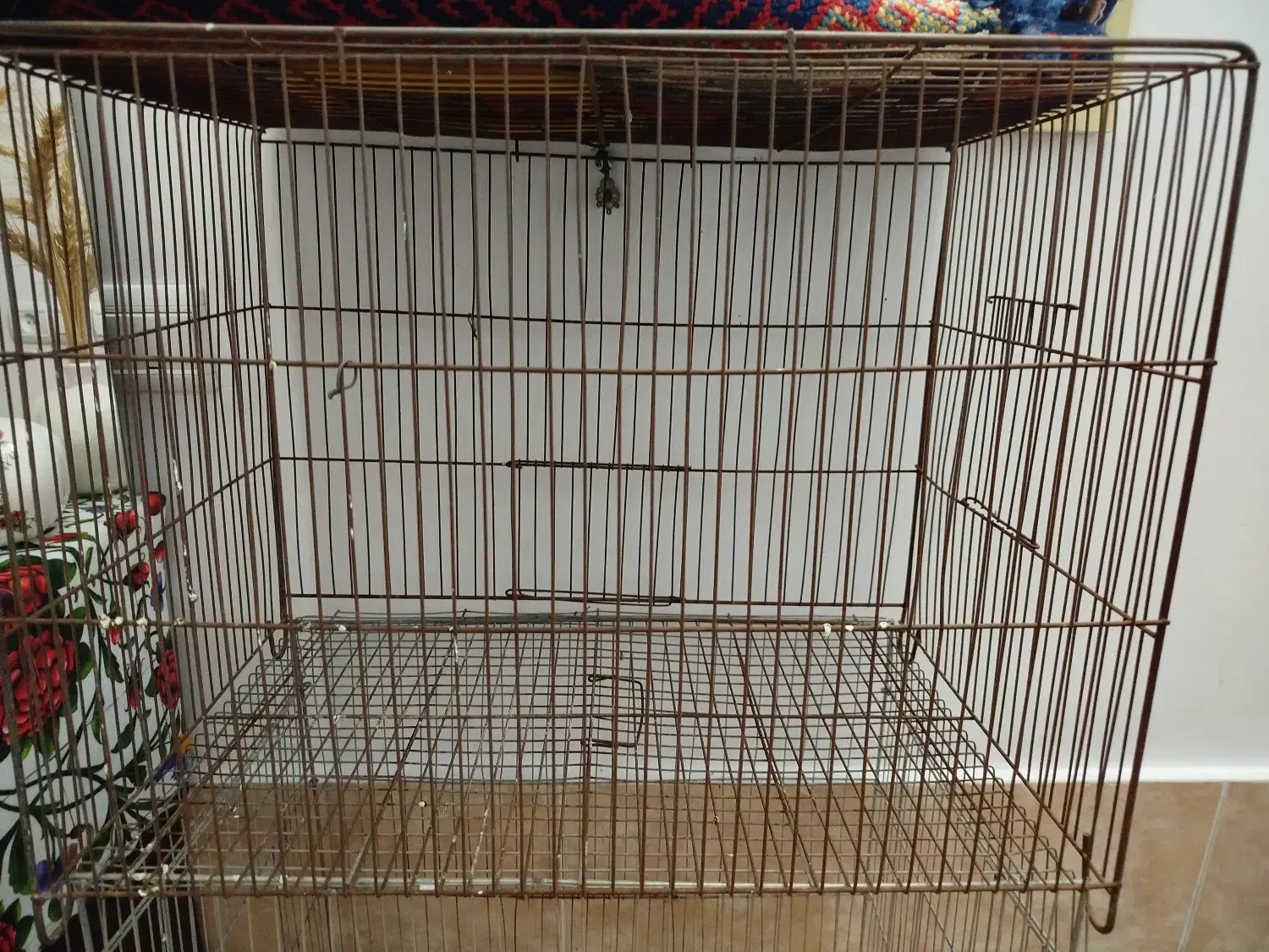 قفس پرنده|لوازم جانبی حیوانات|رشت, دباغیان|دیوار