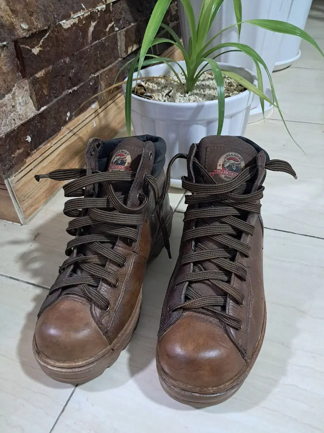 نیم پوت مردانه چرم خارجی|کیف، کفش، کمربند|پاکدشت, پاکدشت (مامازند)|دیوار