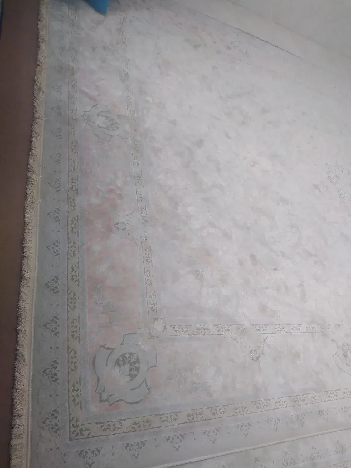 فرش‌۹‌متری‌‌الیاف|فرش|میامی, |دیوار