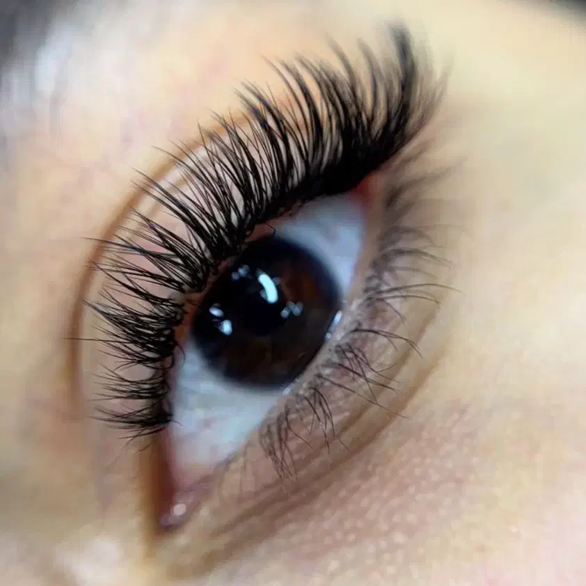 نیازمند مدل اکستنشن مژه فقط با هزینه مواد|خدمات آرایشگری و زیبایی|شیراز, شهرک ولیعصر|دیوار