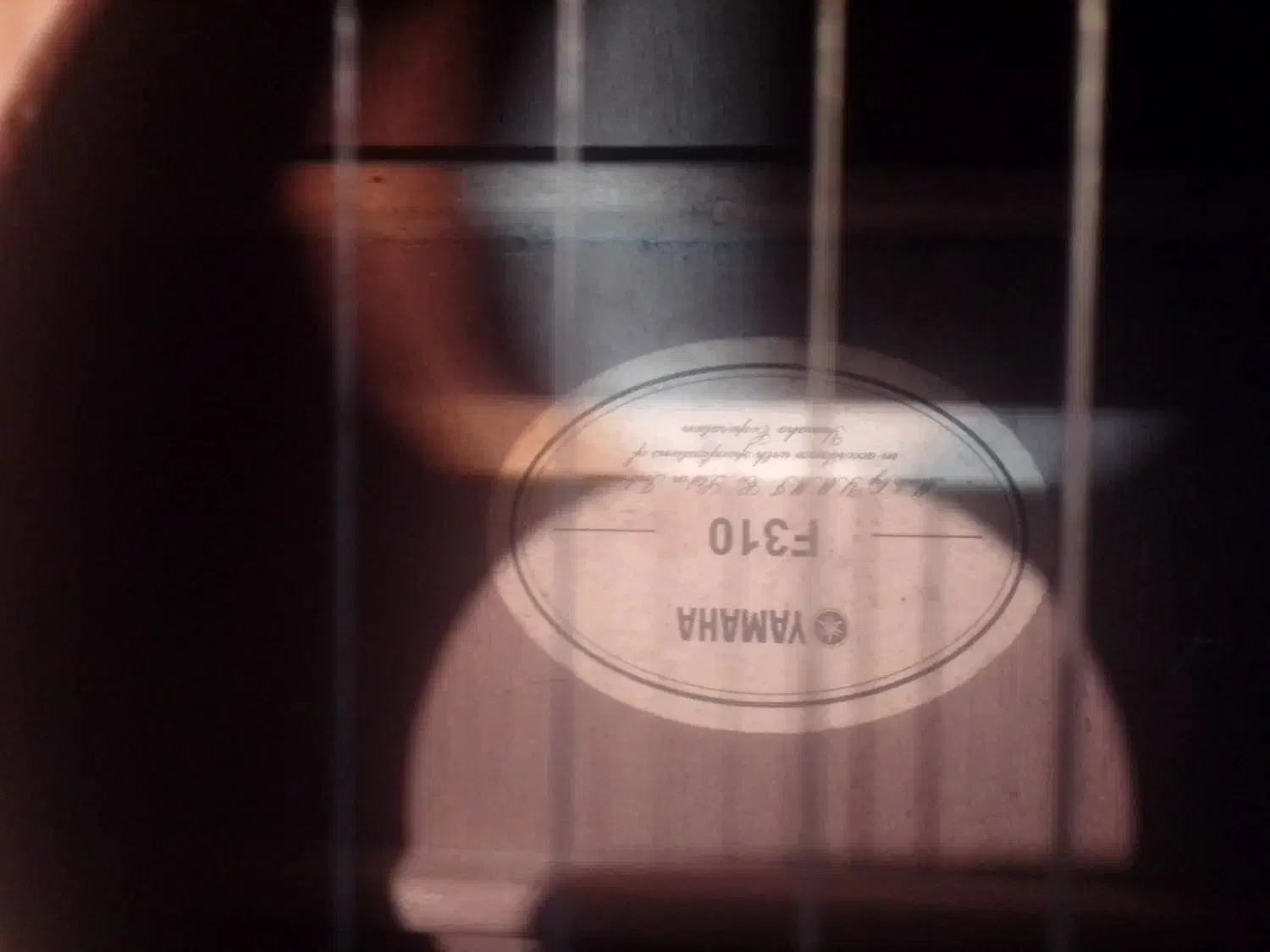 گیتار آکوستیک خوش صدا|گیتار، بیس، امپلیفایر|ساری, |دیوار