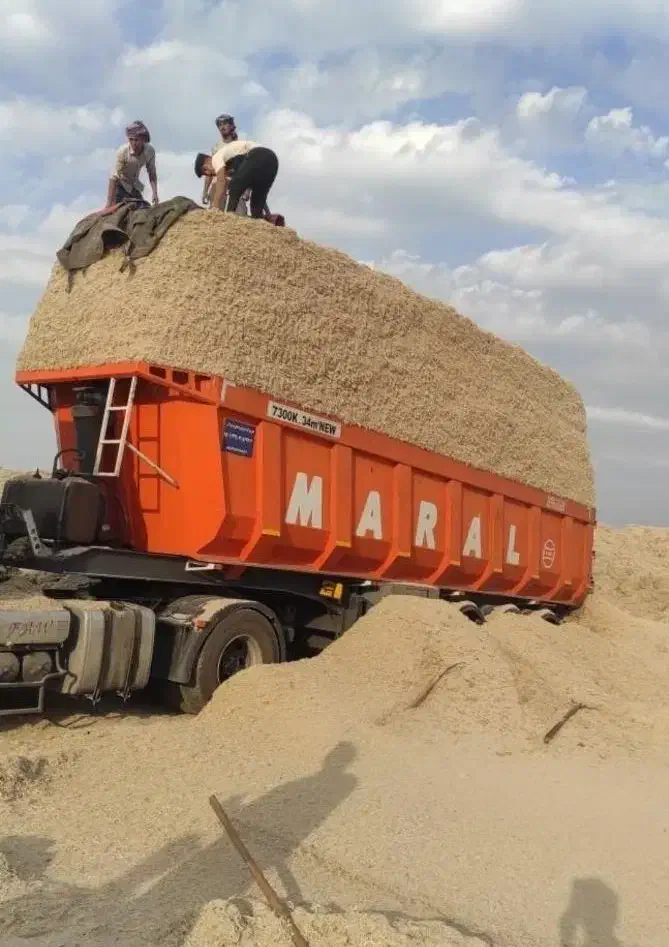 کاه سفال  تفاله ،  کاه نیشکر باگاس امسالی فله ای|لوازم جانبی حیوانات|شیراز, جمهوری|دیوار