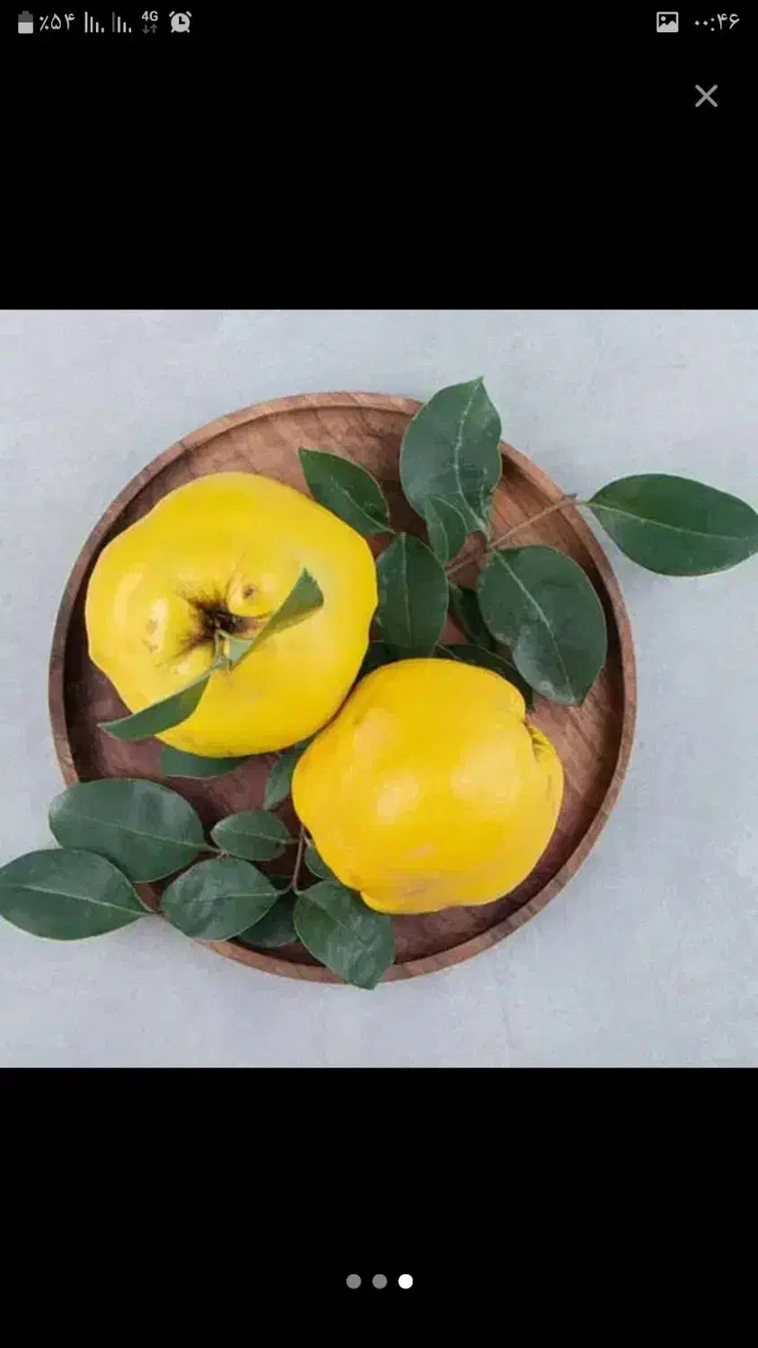 میوه ارگانیک..میوه  به  شهرستان  اراک|خوردنی و آشامیدنی|تهران, شهرک شهید باقری|دیوار