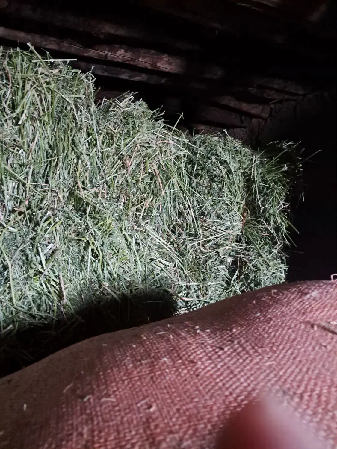 یونجه پرس|حیوانات مزرعه|دهگلان, |دیوار