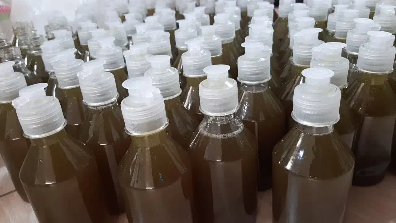 شامپو گل ختمی|آرایشی، بهداشتی، درمانی|سمیرم, |دیوار