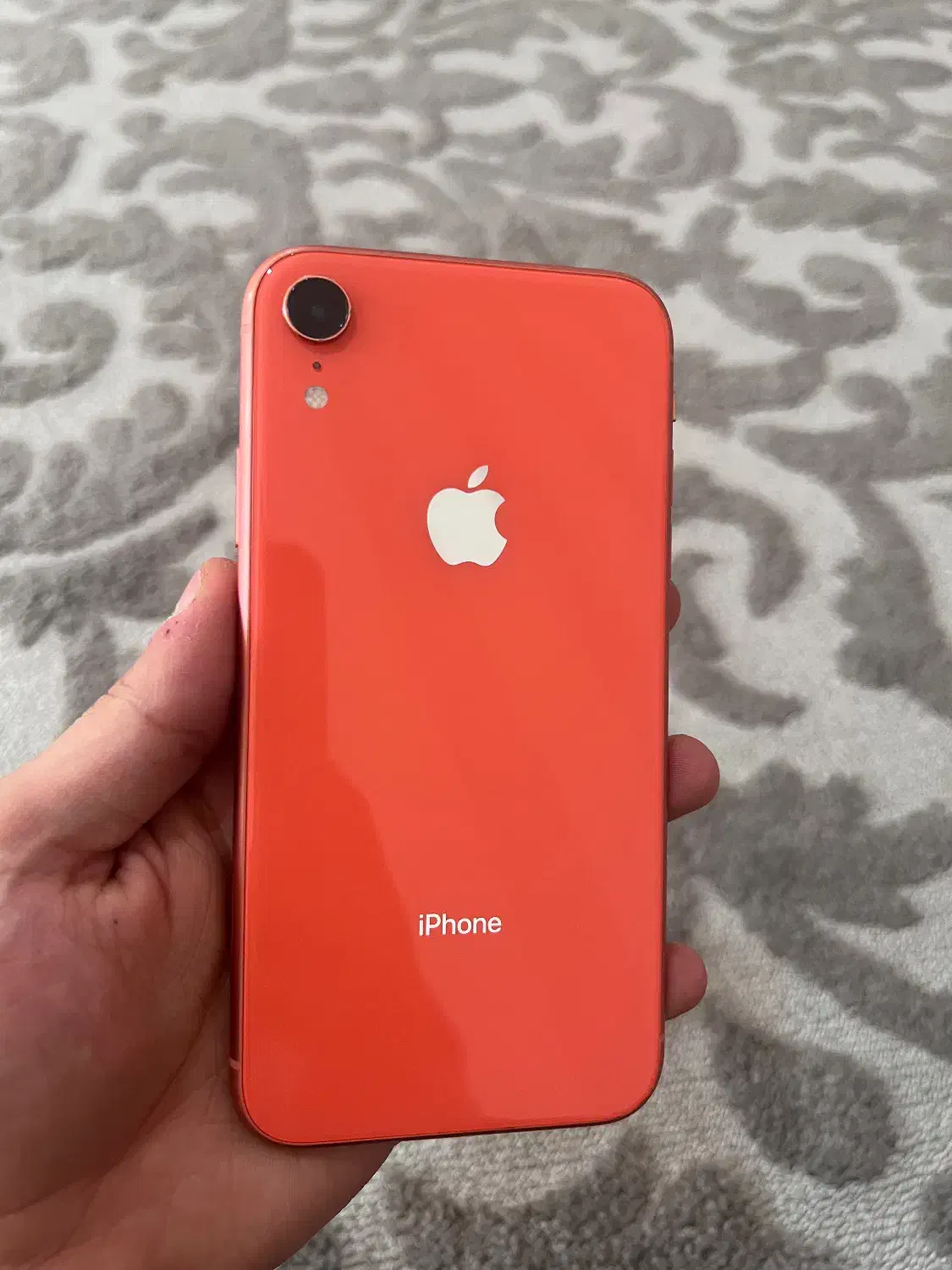 iPhone XR|موبایل|قشم, |دیوار