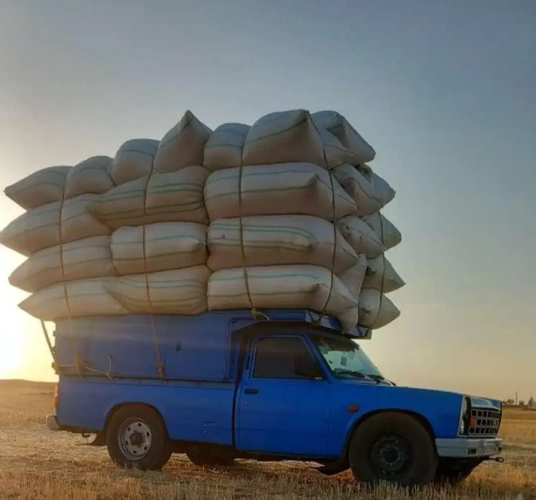 کاه ریز|لوازم جانبی حیوانات|شفت, |دیوار