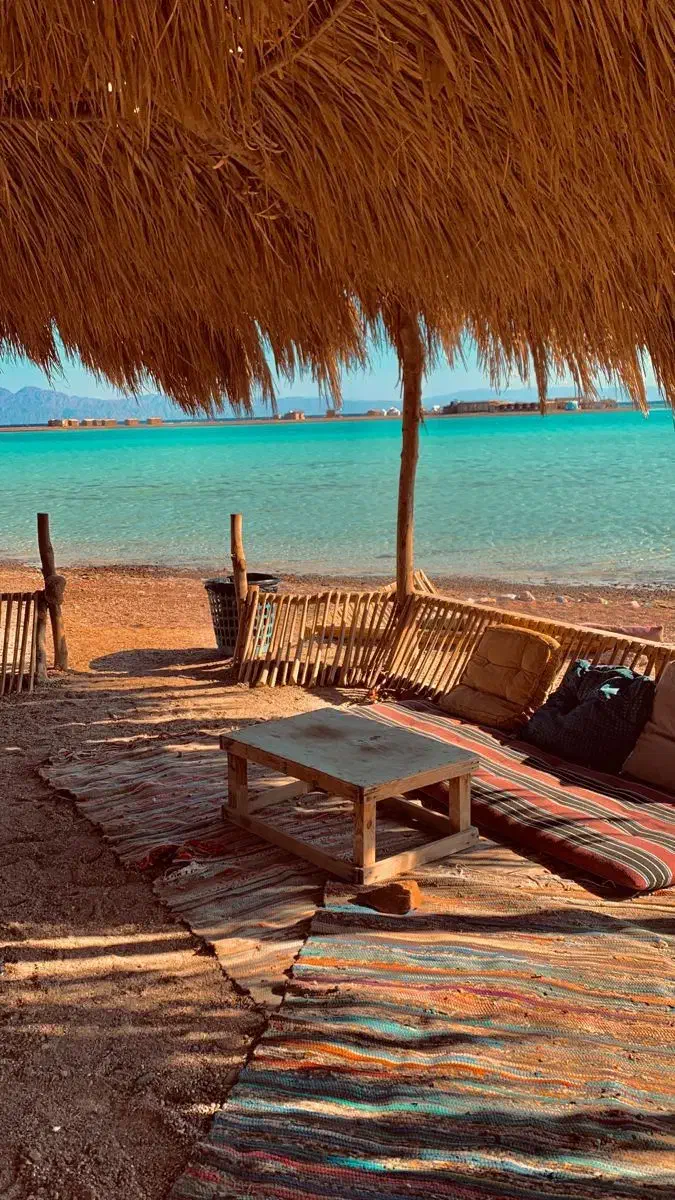 تور تفریحی کیش و قشم|تور و چارتر|شیراز, سیاه سنگ|دیوار