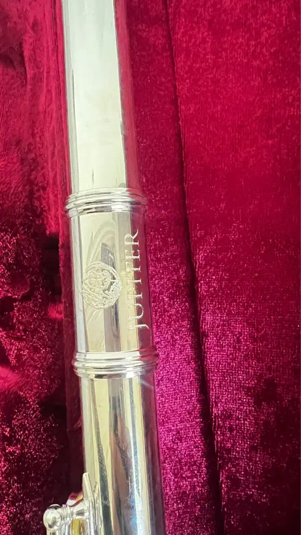 فلود کلید دار ژوپیتر700|سازهای بادی|بوشهر, |دیوار