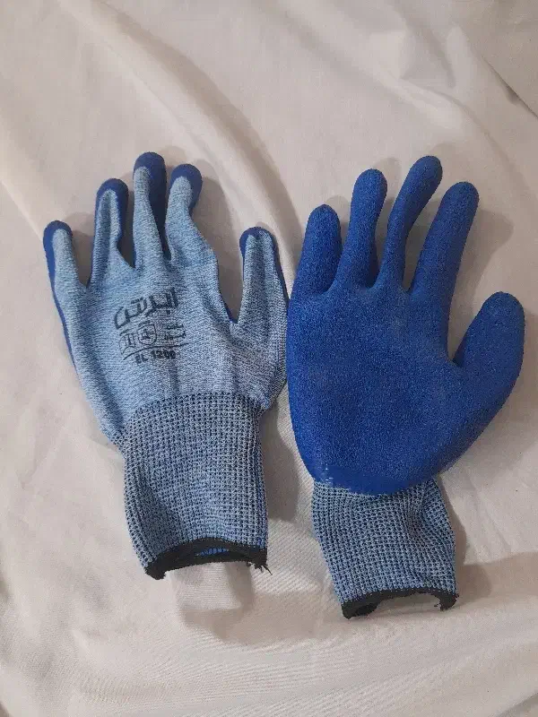 کفش کار و دستکش نو|کیف، کفش، کمربند|نیشابور, فرح بخش|دیوار