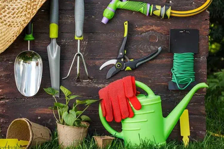 خدمات باغبانی/طراحی فضای سبز|خدمات باغبانی و درختکاری|لاهیجان, کوی خزر|دیوار