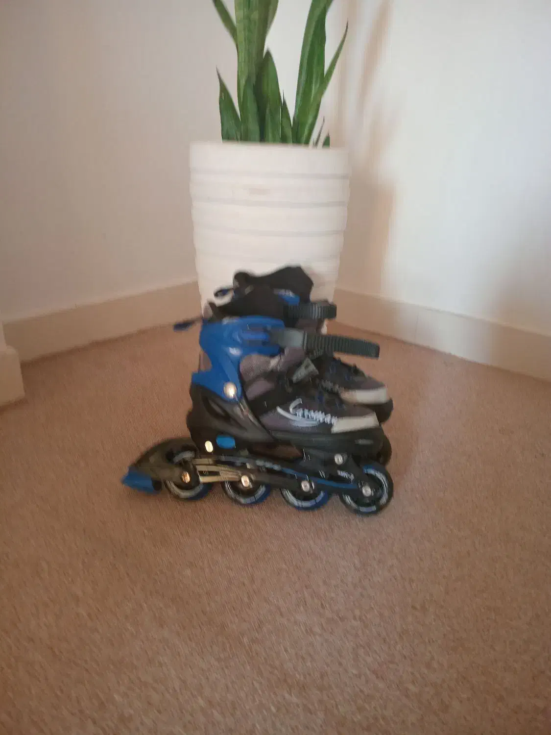 کفش اسکیت|دوچرخه، اسکیت، اسکوتر|چالوس, |دیوار