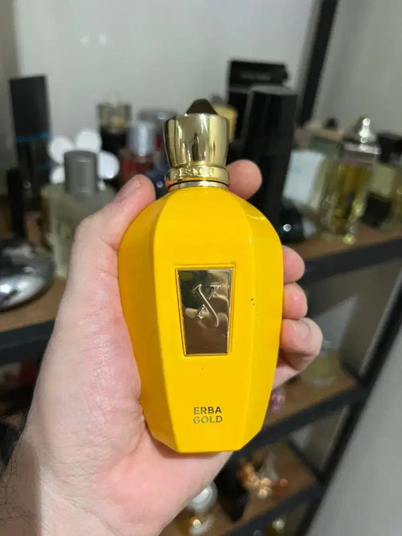 ادکلن های اورجینال واصل خارجی|حراج|تهران, خزانه|دیوار