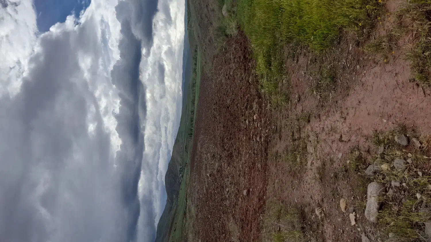 ۲هکتار زمین زراعی مرغوب|فروش دفتر صنعتی، کشاورزی، تجاری|فیروز, |دیوار