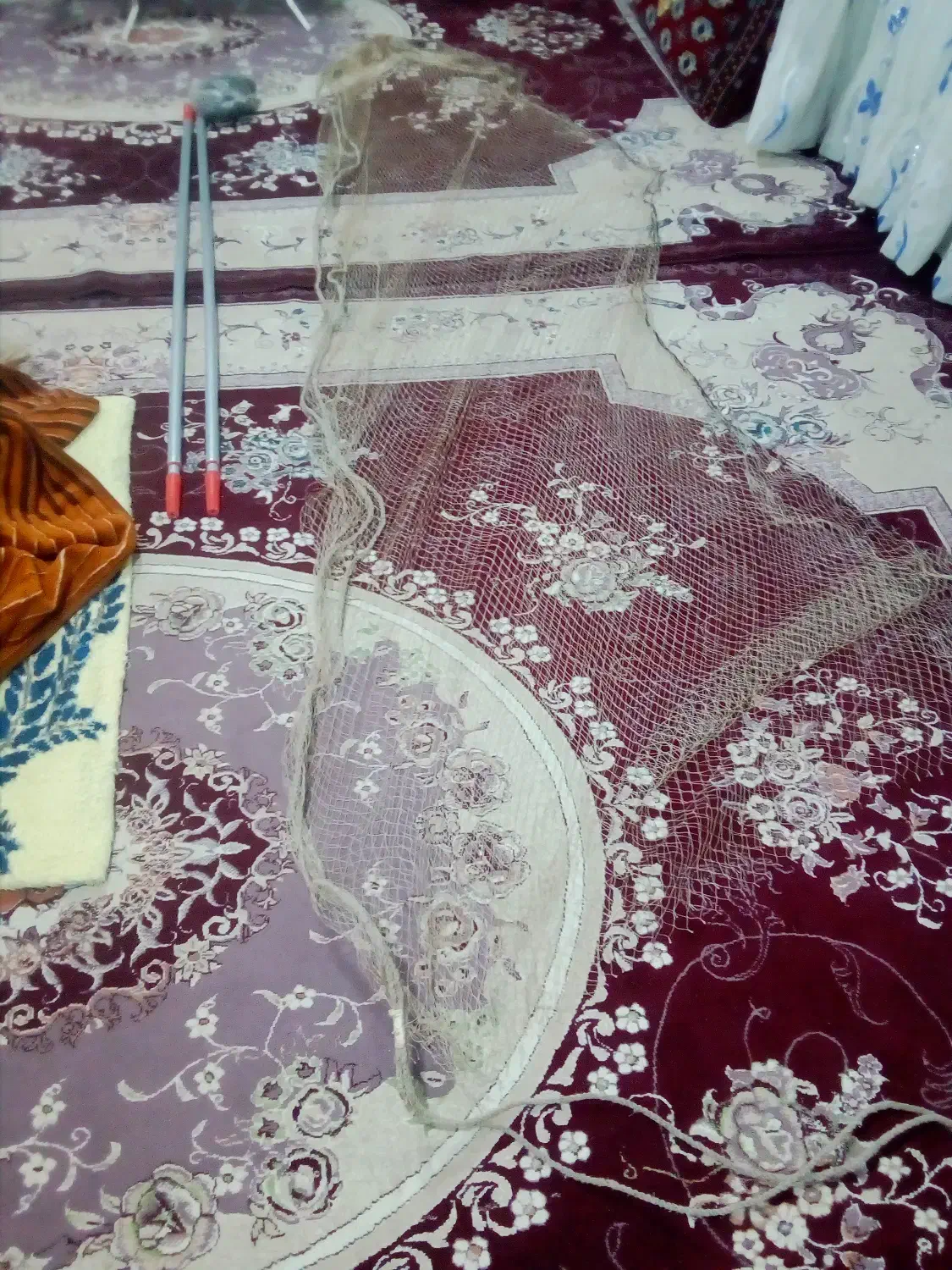 تورسهره|لوازم جانبی حیوانات|کوهدشت, |دیوار