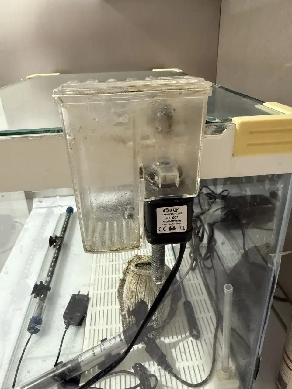 آکواریوم شیشه خم با تمام تجهیزات|ماهی|کردکوی, |دیوار