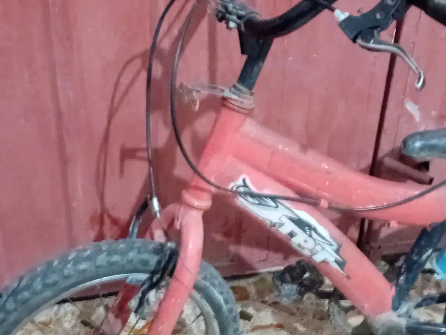 دوچرخه|دوچرخه، اسکیت، اسکوتر|ساری, |دیوار