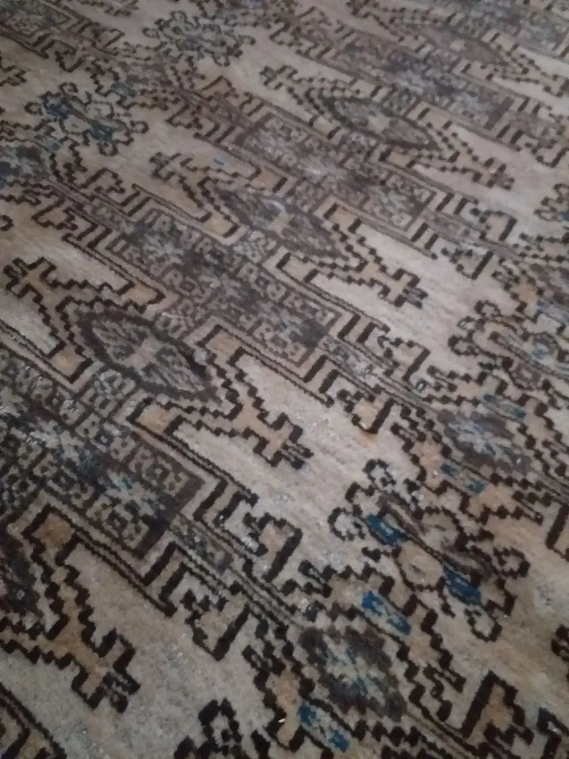 فرش دستبافت ترکمن|فرش|ورامین, شهرک مدرس|دیوار