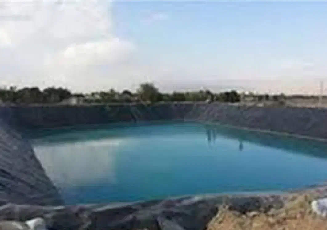 نصب و اجرا ورق های عایق پلیمری|خدمات باغبانی و درختکاری|قزوین, |دیوار