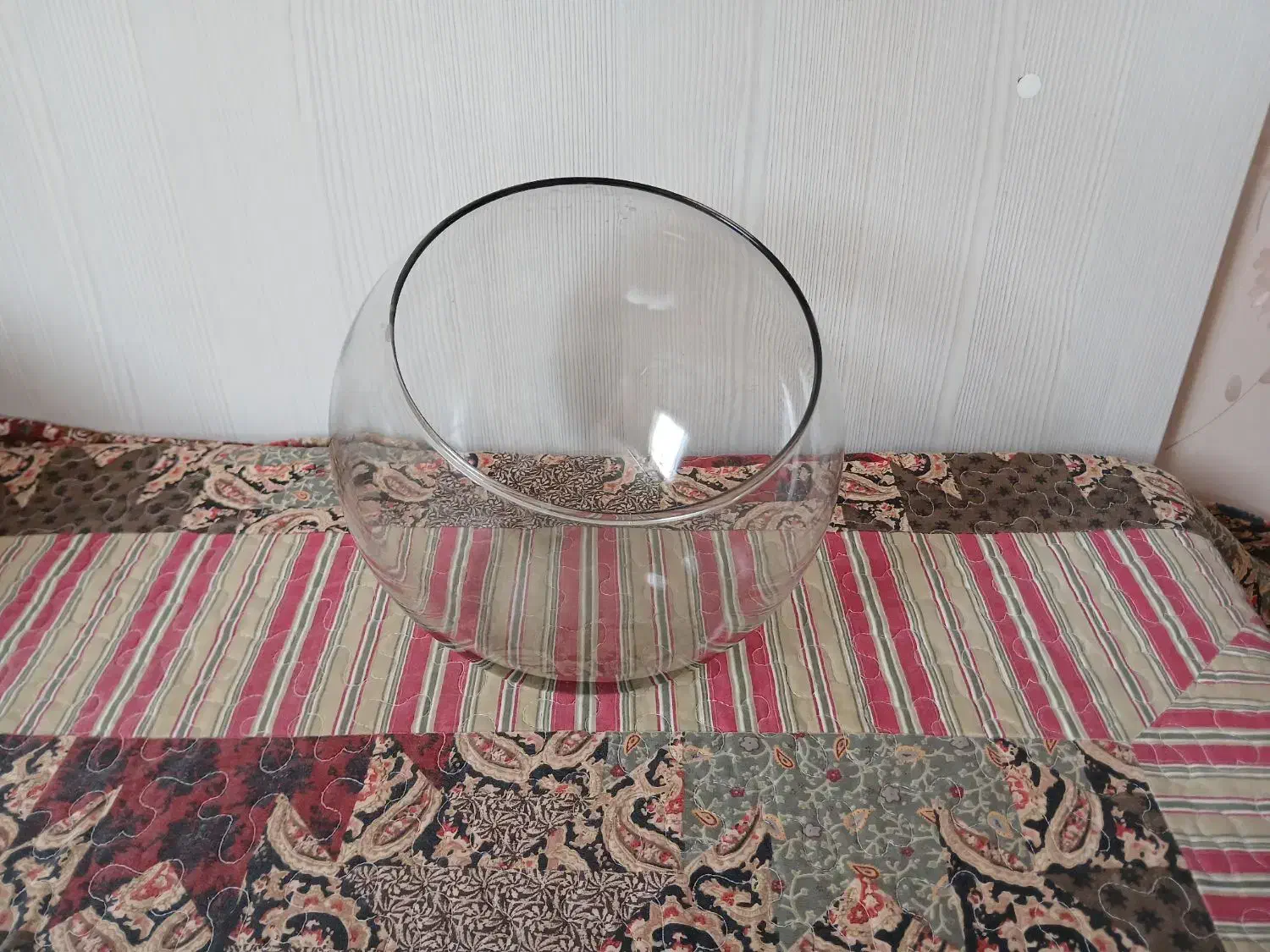 تنک ماهی|ماهی|تربت‌حیدریه, مظفریه|دیوار