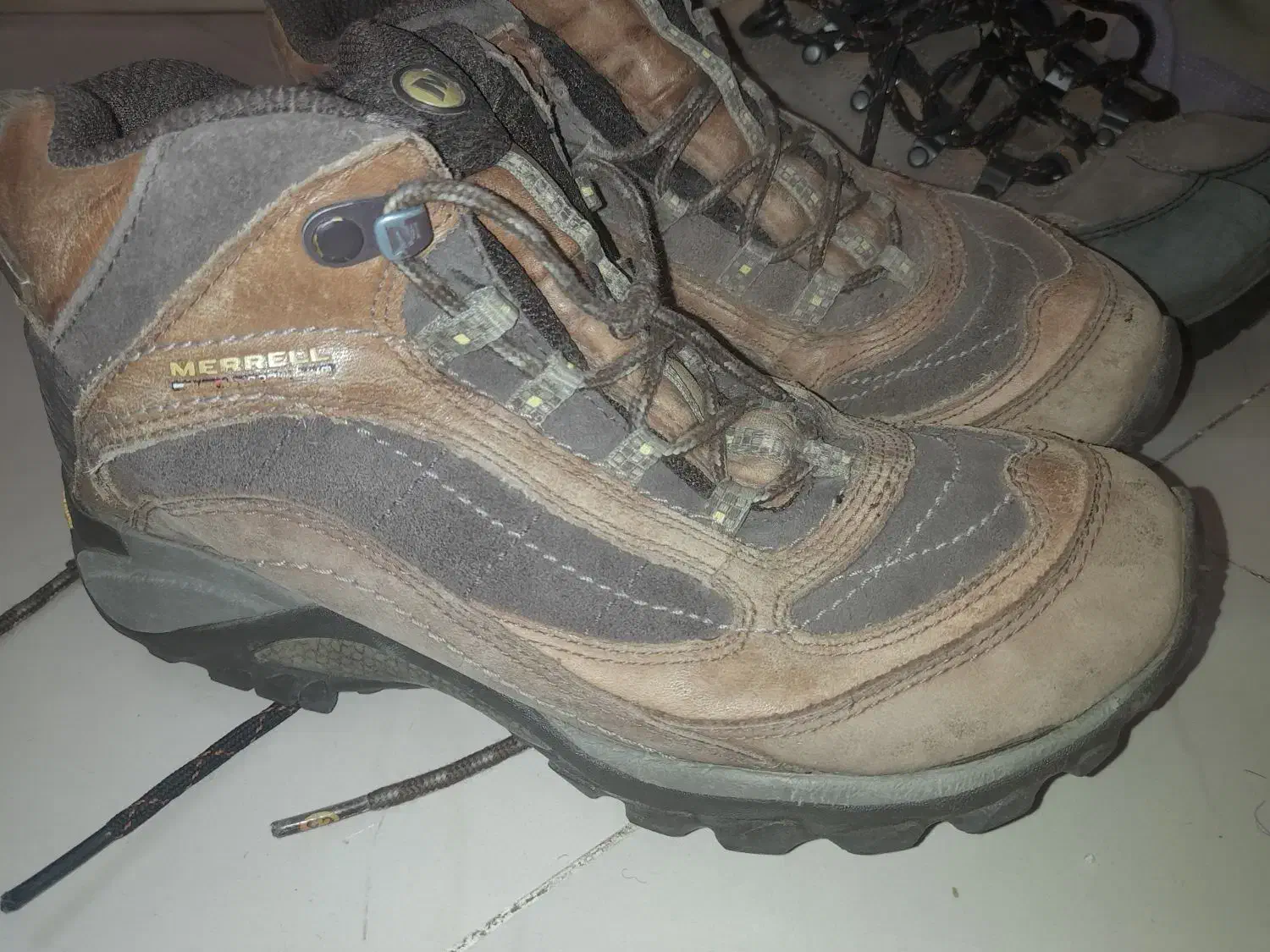 کفش اسپرت|کیف، کفش، کمربند|بیرجند, |دیوار