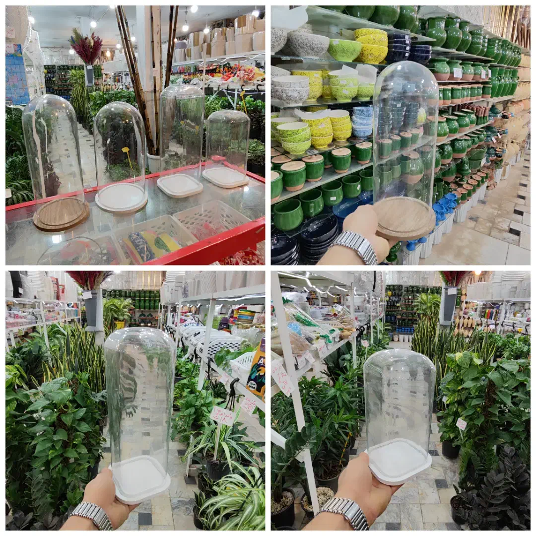 شیشه باکس شیشه آجیل یلدا گلدان تراریوم بامبو چله|گل و گیاه طبیعی|قم, ولیعصر|دیوار