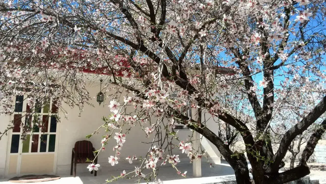 فروش خانه ویلایی ۱۰۰ متری ۲ خوابه|فروش خانه و ویلا|دهج, |دیوار