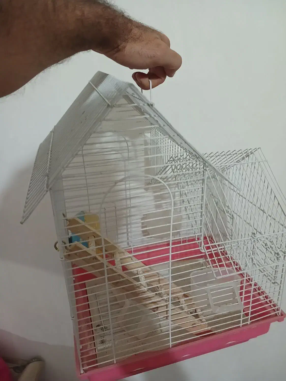 قفس پرنده|لوازم جانبی حیوانات|تهران, شارق|دیوار