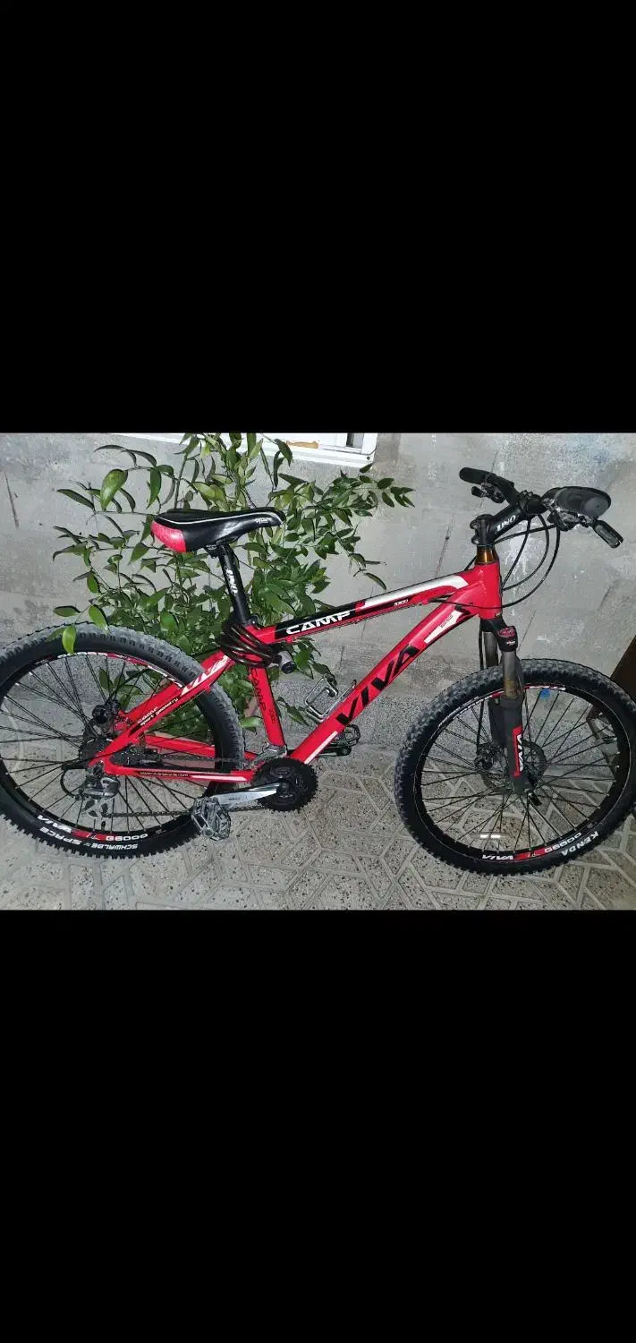 دوچرخه ویوا کمپ|دوچرخه، اسکیت، اسکوتر|ساری, |دیوار