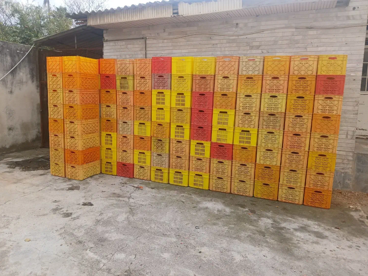 سبد مرغی در حد نو،تعداد۳۹۲عدد|عمدهفروشی|آزادشهر, |دیوار