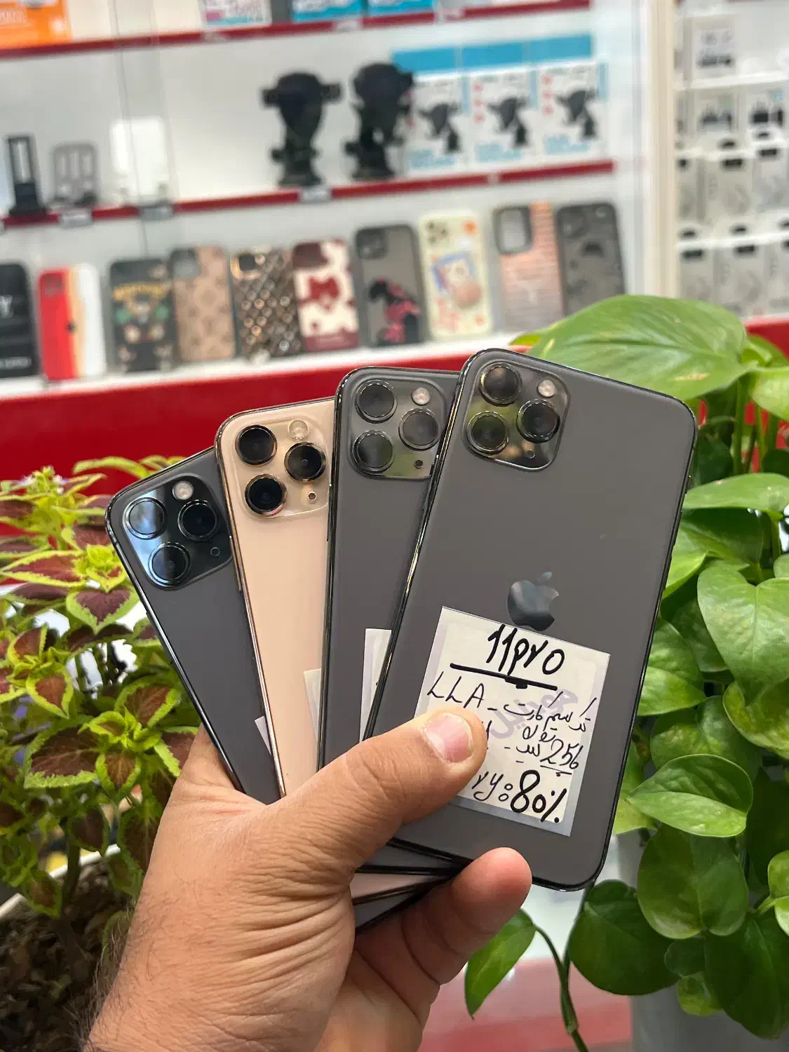 iPhone 11 pro|موبایل|شیراز, زند|دیوار