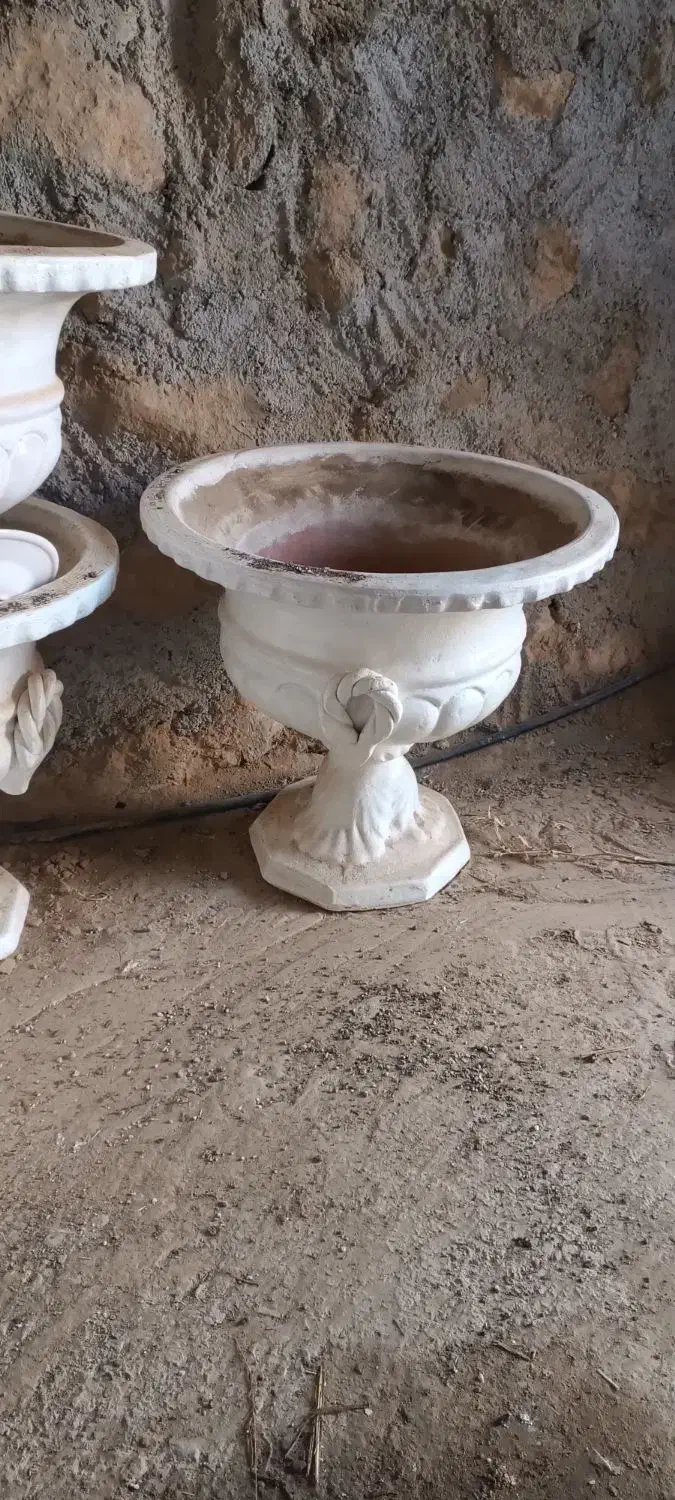 گلدان|گل و گیاه طبیعی|تربت جام, میان جام|دیوار