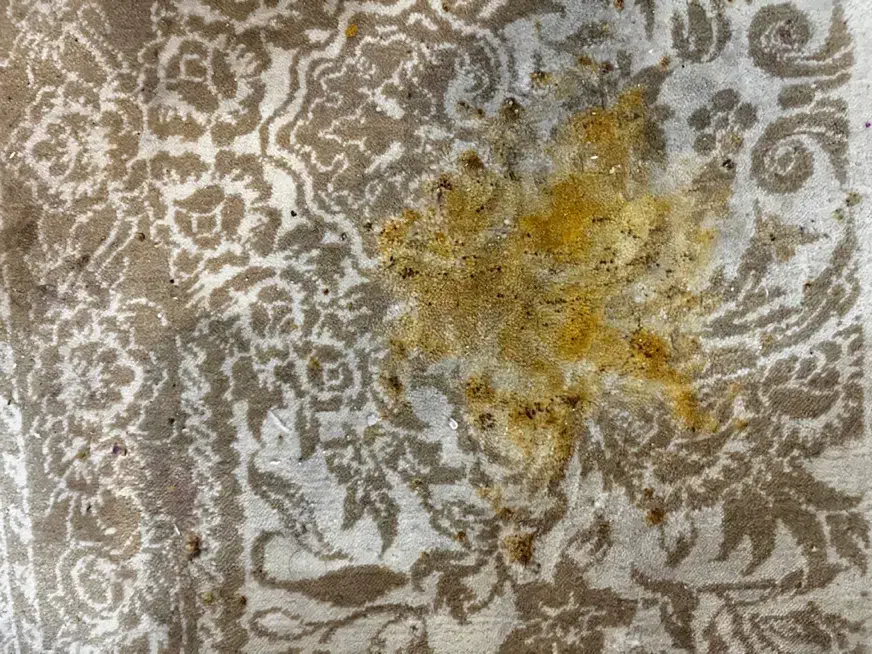 دو فرش ۱۲متری ۱۰۰۰شانه|فرش|آمل, |دیوار