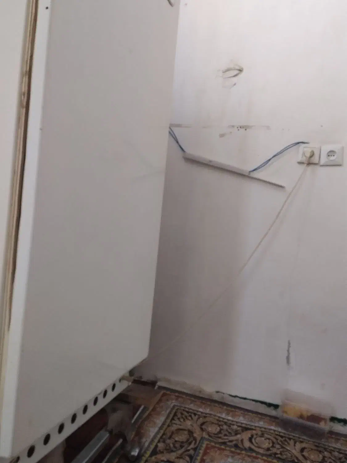 نیازمند همخانه خانم|اجارهٔ خانه و ویلا|سیرجان, |دیوار