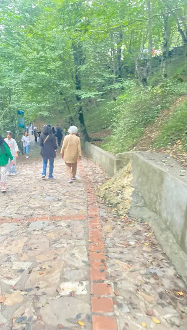 همسفر|تور و چارتر|بجنورد, |دیوار