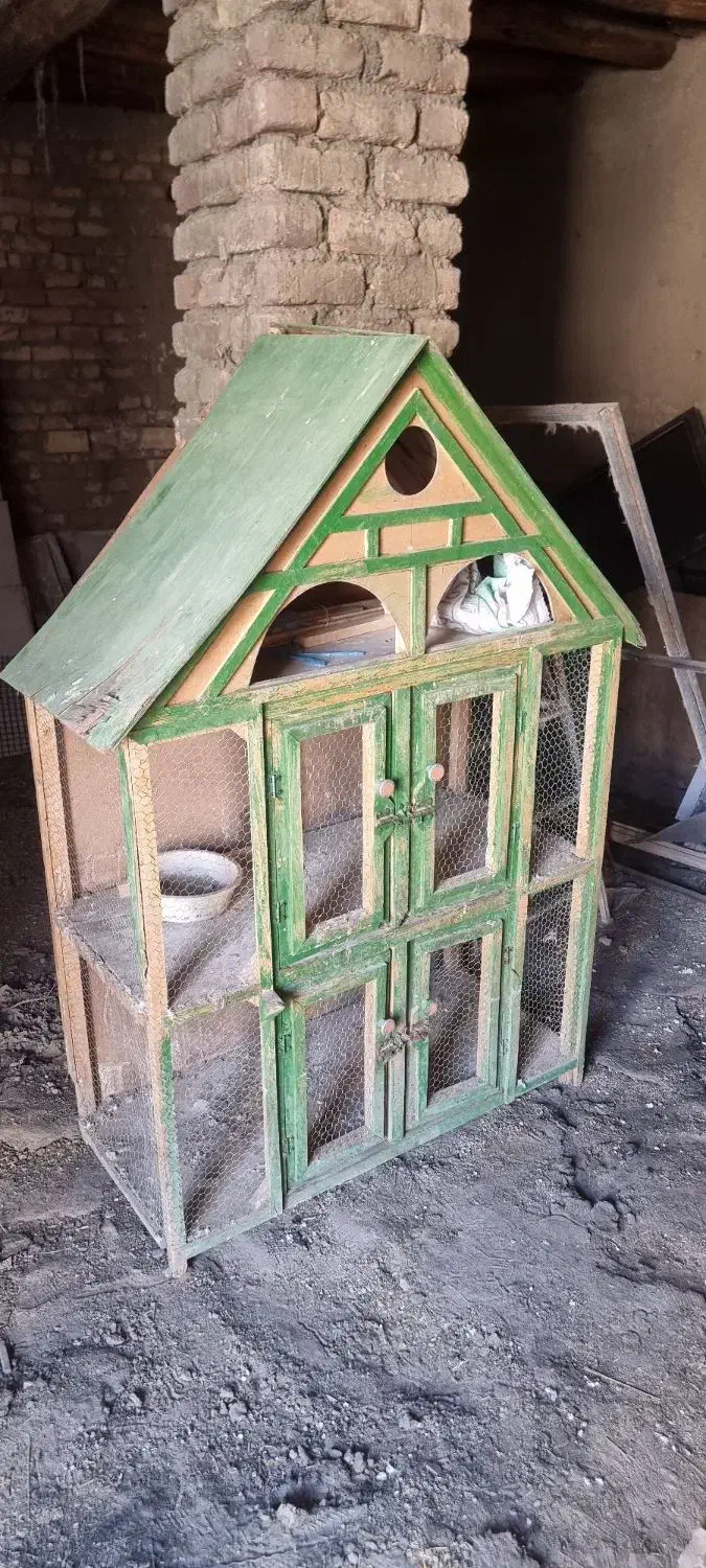 جفت کن کبوتر|لوازم جانبی حیوانات|گلپایگان, |دیوار