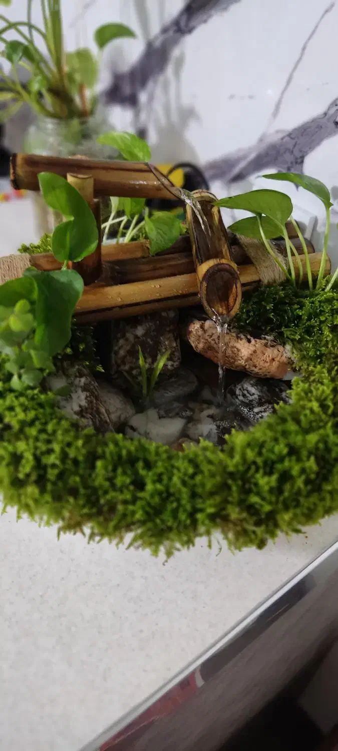 آب نما با گیاهان طبیعی|صنایع دستی و سایر لوازم تزئینی|سرخنکلاته, |دیوار