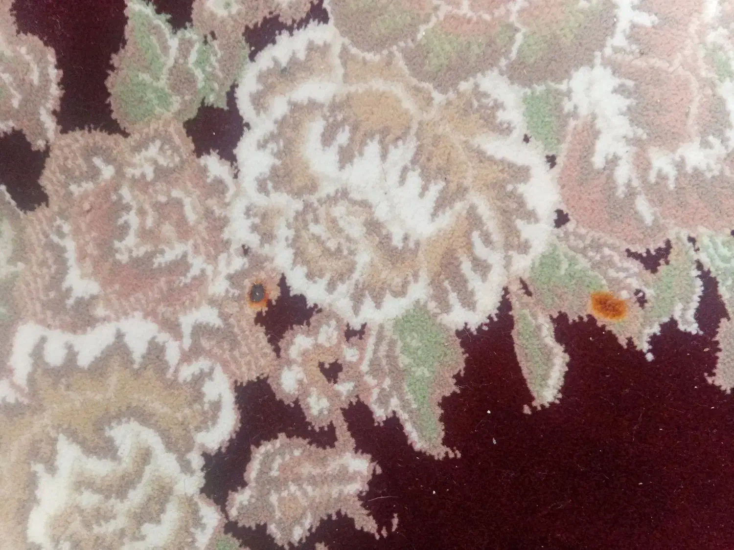 دو تخته فرش|فرش|ارومیه, |دیوار