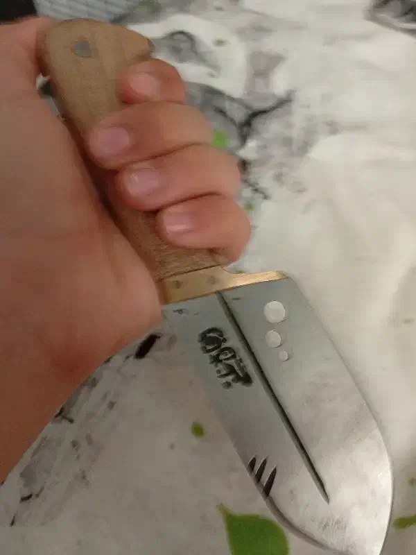 چاقو گازن|کلکسیون اشیاء عتیقه|کرمانشاه, |دیوار