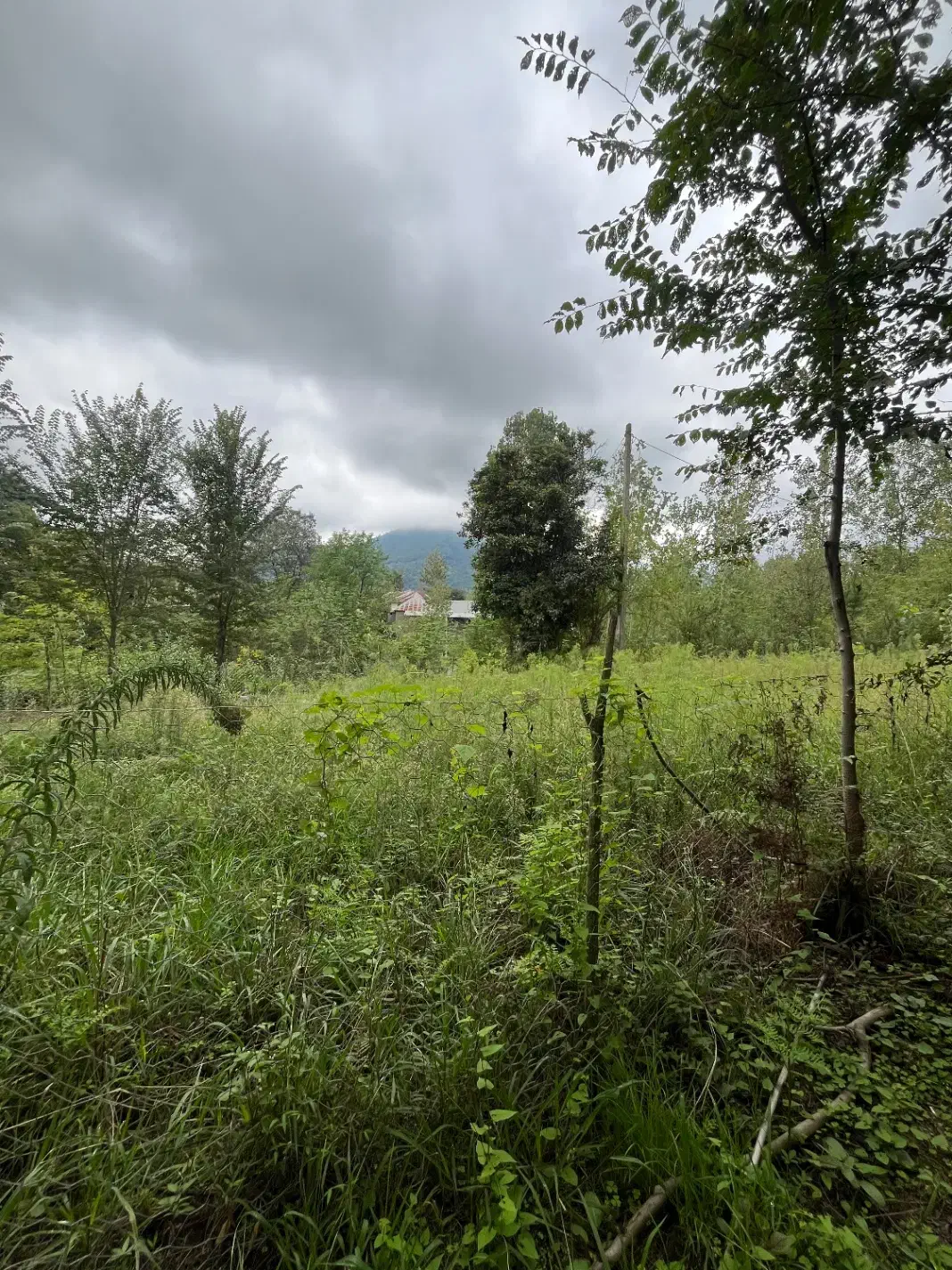 زمین خوش نقش و دوبر|فروش زمین و ملک کلنگی|تهران, میدان میوه و ترهبار مرکزی|دیوار