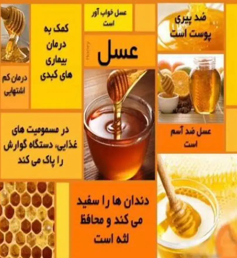 فیه شفاءللناس|خوردنی و آشامیدنی|تهران, دهم فروردین|دیوار