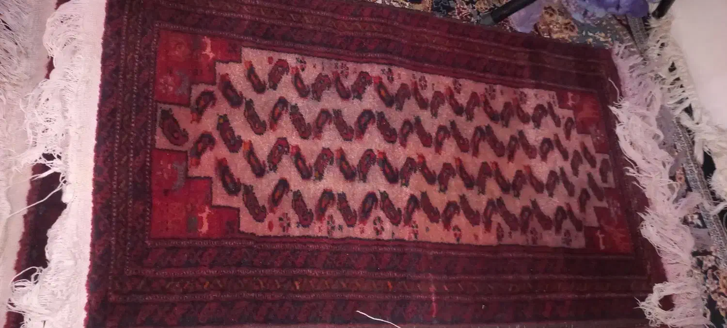 قالیچه دسباف قدیمی|پادری|پاکدشت, حصار امیر|دیوار