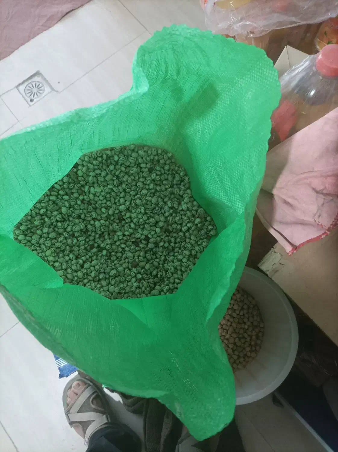 لوبیا چیتی|خوردنی و آشامیدنی|طاغنکوه, |دیوار