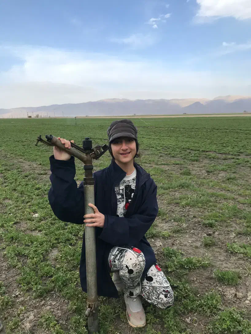 اجاره زمین کشاورزی|اجارهٔ دفتر صنعتی، کشاورزی، تجاری|حسن آباد, |دیوار